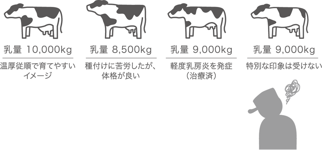 乳量9,000kg 軽度乳房炎を発症（治療済）　乳量9,000kg 特別な印象は受けない