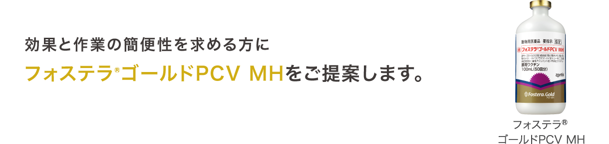 効果と作業の簡便性を求める方に