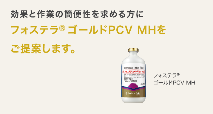 フォステラ®︎ゴールドPCV MHをご提案します。