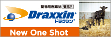ドラクシン