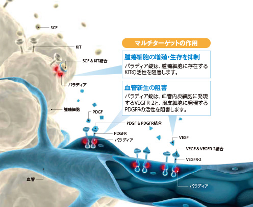 作用機序・薬効薬理