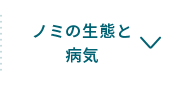 ノミの生態と病気