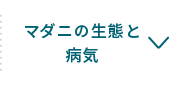 マダニの生態と病気