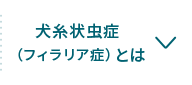 犬糸状虫症（フィラリア症）とは