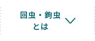 回虫・鉤虫とは