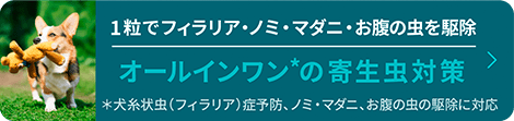 オールインワンの寄生虫対策