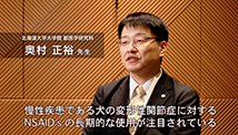 慢性疾患である犬の変形性関節症に対するNSAIDsの長期的な使用が注目されている