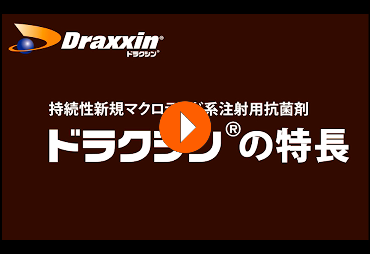 ツラスロマイシンの抗炎症効果に関する動画