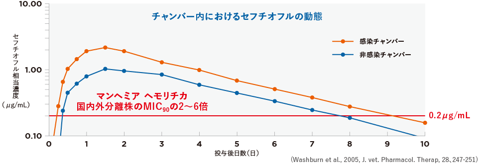 チャンバー内におけるセフチオフルの動態