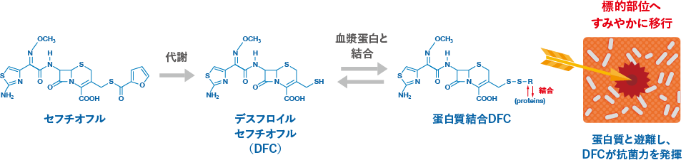 セフチオフルのドラッグデリバリーシステム