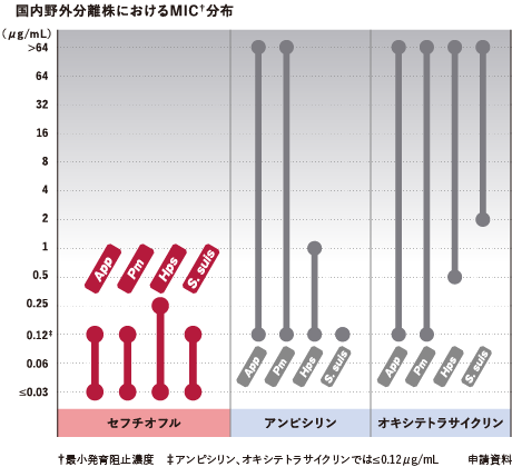 エクセーデS