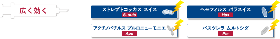 エクセーデと市販注射剤