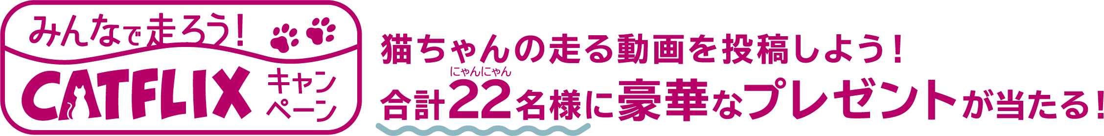 みんなで走ろう! CATFLIXキャンペーン 猫ちゃんの走る動画を投稿しよう! 合計22名様に豪華プレゼントが当たる!