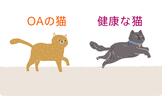 走るとき