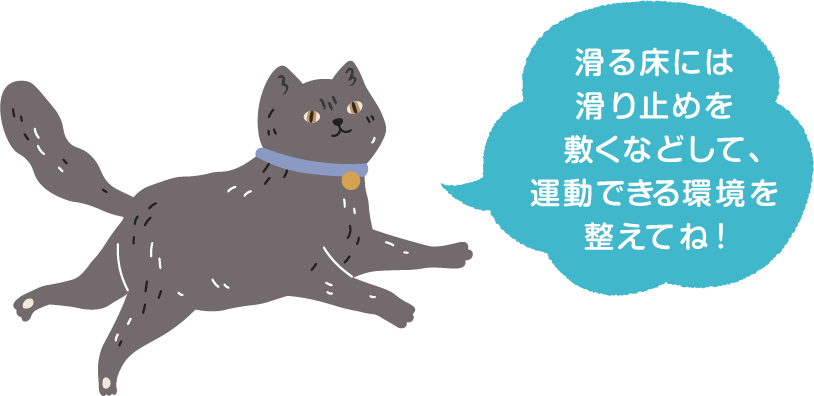 滑る床には滑り止めを敷くなどして、運動できる環境を整えてね！