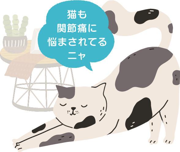 猫も関節痛に悩まされてるニャ