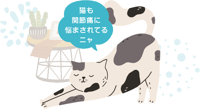 猫も関節痛に悩まされてるニャ