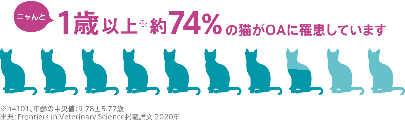 1歳以上※約74%の猫がOAに罹患しています ※n=101、年齢の中央値;9.78±5.77歳 出典:Taro Kimura, et al. Retrospective Radiographic Study of Degenerative Joint Disease in Cats: Prevalence Based on Orthogonal Radiographs. Front Vet Sci. 2020;7:138