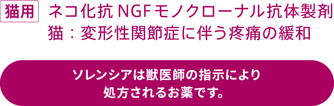 猫用 ネコ化抗NGFモノクローナル抗体製剤 猫:変形性関節症に伴う疼痛の緩和 ソレンシアは獣医師の指示により処方されるお薬です。