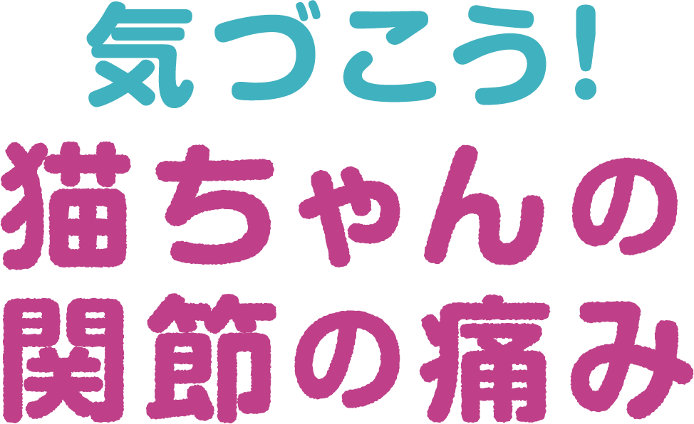 気づこう！ 猫ちゃんの関節の痛み