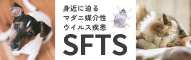 身近に迫る マダニ媒介性 ウイルス疾患