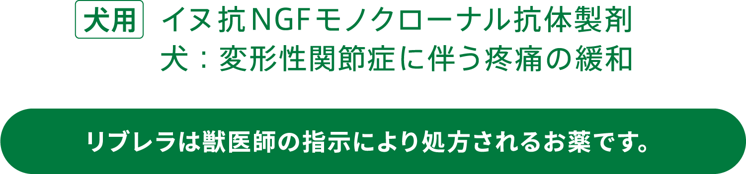 犬用 イヌ抗NGFモノクローナル抗体製剤 犬：変形性関節症に伴う疼痛の緩和 リブレラは獣医師の指示により処方されるお薬です。