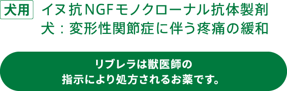 犬用 イヌ抗NGFモノクローナル抗体製剤 犬：変形性関節症に伴う疼痛の緩和 リブレラは獣医師の指示により処方されるお薬です。